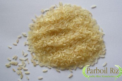 Thai Parboiled Rice 100% Sorted